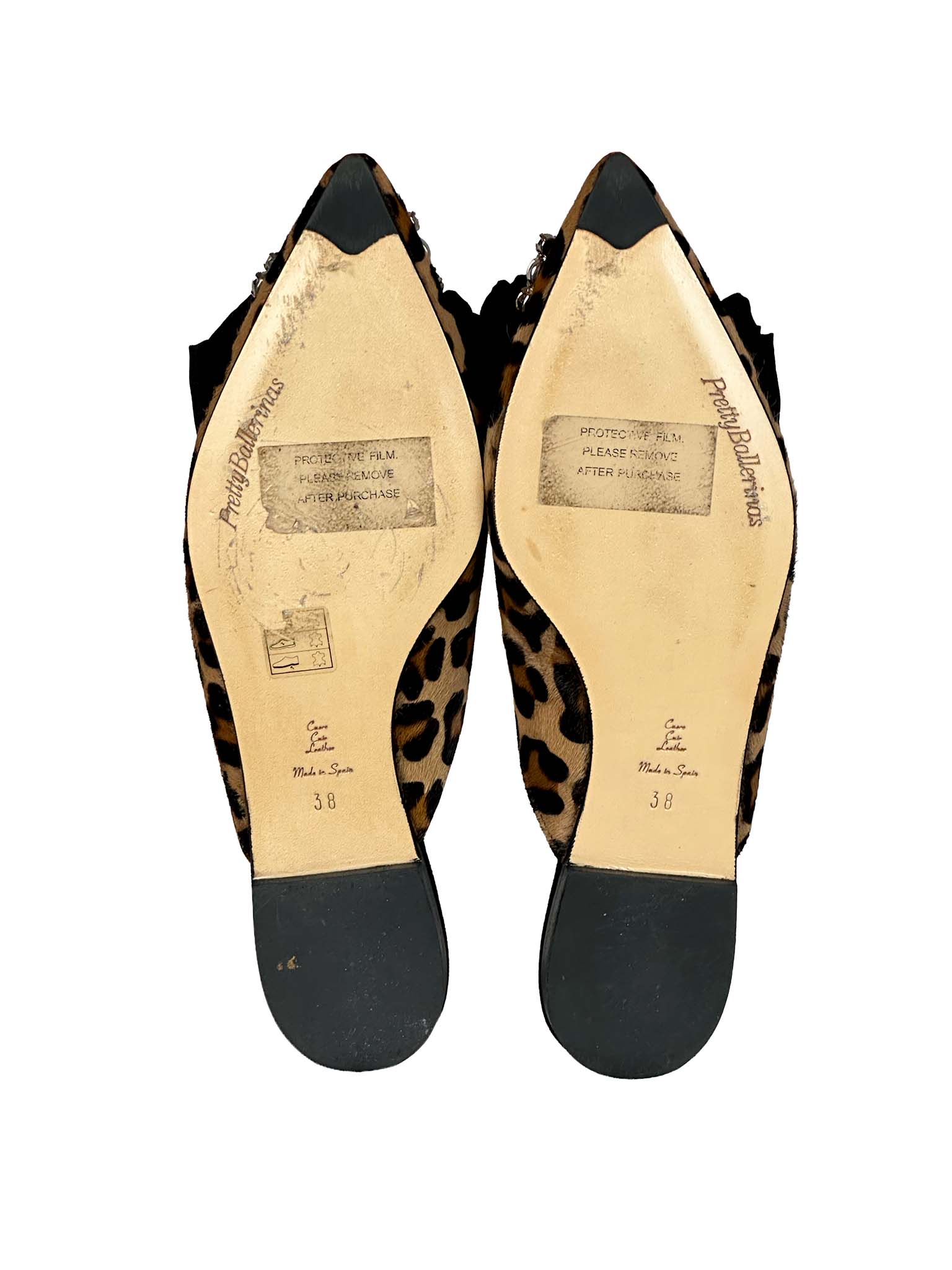 Pretty Ballerinas Shoes