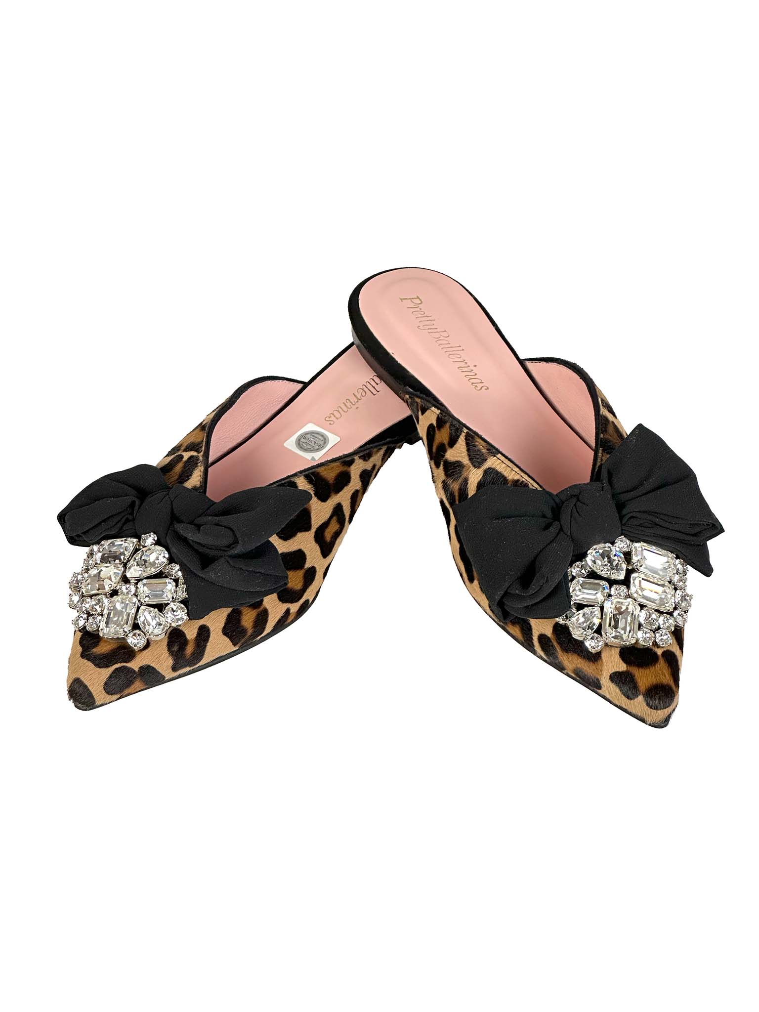 Pretty Ballerinas Shoes